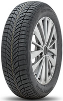���� Roadstone WinGuard SnowG WH2